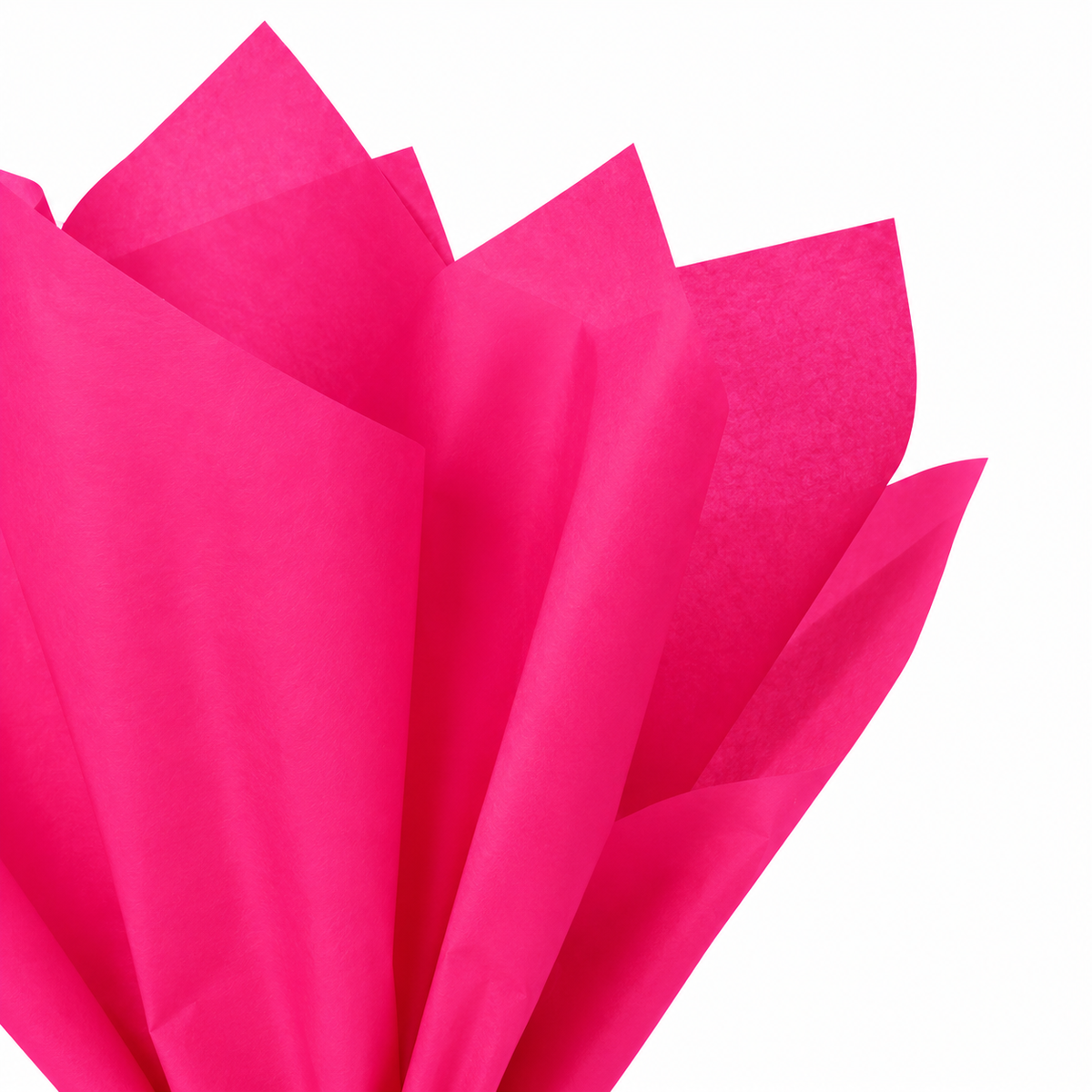 Fuchsia Tissue Paper - 4 Sheets