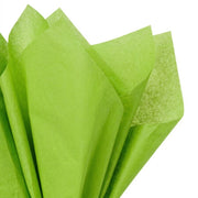 Lime Green Tissue Paper - 4 Sheets
