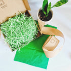 Mint Green Crinkle Shred Paper